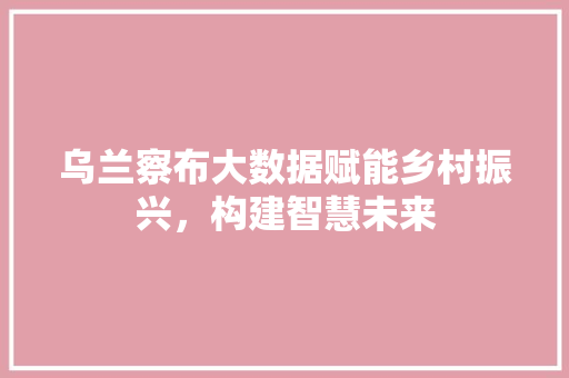 乌兰察布大数据赋能乡村振兴，构建智慧未来