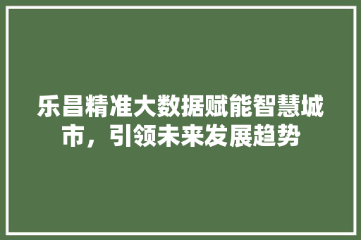 乐昌精准大数据赋能智慧城市，引领未来发展趋势