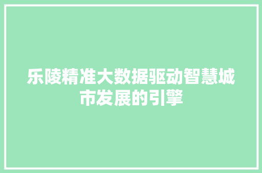 乐陵精准大数据驱动智慧城市发展的引擎
