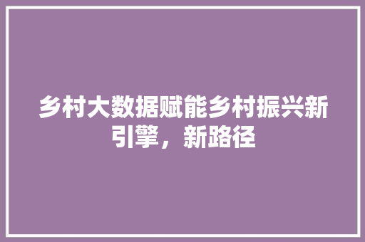 乡村大数据赋能乡村振兴新引擎，新路径
