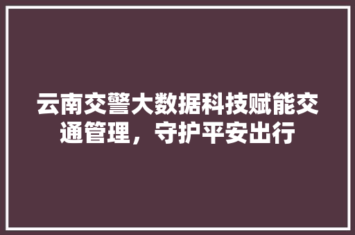 云南交警大数据科技赋能交通管理，守护平安出行