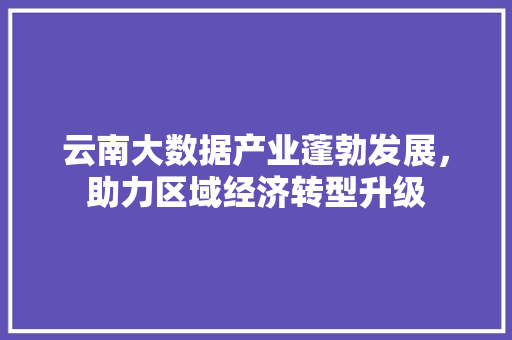 云南大数据产业蓬勃发展，助力区域经济转型升级