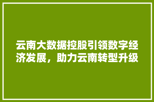 云南大数据控股引领数字经济发展，助力云南转型升级