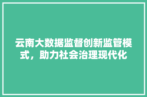 云南大数据监督创新监管模式，助力社会治理现代化