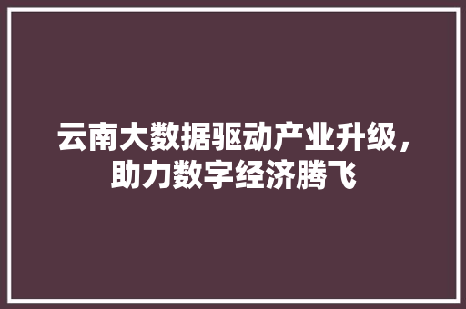 云南大数据驱动产业升级，助力数字经济腾飞