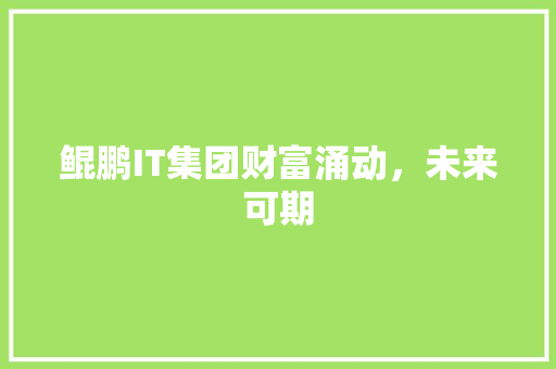 鲲鹏IT集团财富涌动，未来可期