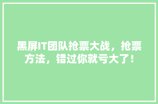 黑屏IT团队抢票大战，抢票方法，错过你就亏大了！