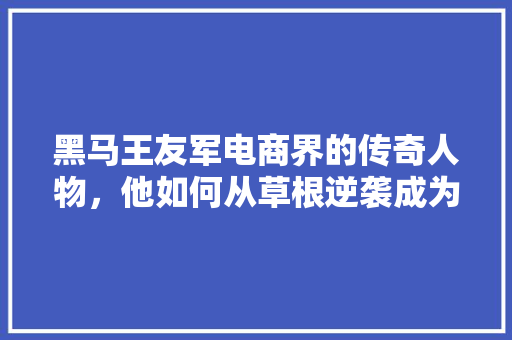黑马王友军电商界的传奇人物，他如何从草根逆袭成为行业翘楚