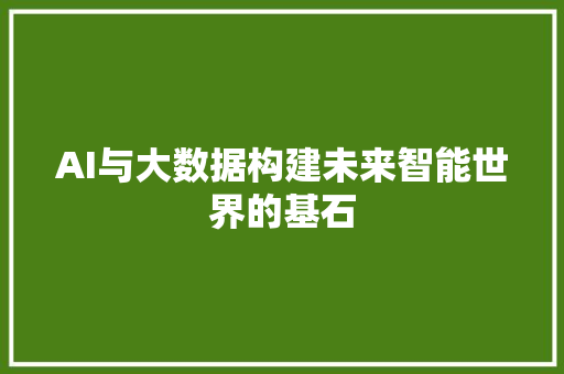 AI与大数据构建未来智能世界的基石