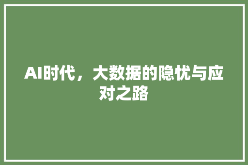 AI时代，大数据的隐忧与应对之路