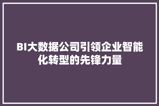 BI大数据公司引领企业智能化转型的先锋力量