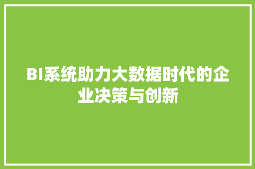 BI系统助力大数据时代的企业决策与创新