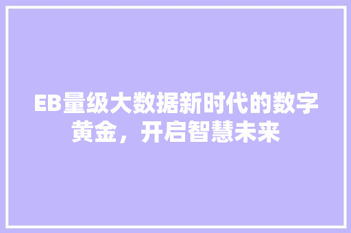 EB量级大数据新时代的数字黄金，开启智慧未来