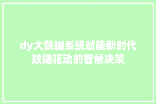 dy大数据系统赋能新时代数据驱动的智慧决策