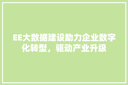EE大数据建设助力企业数字化转型，驱动产业升级