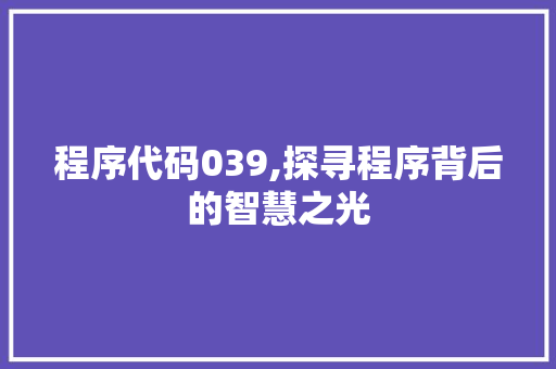 程序代码039,探寻程序背后的智慧之光 前端技术