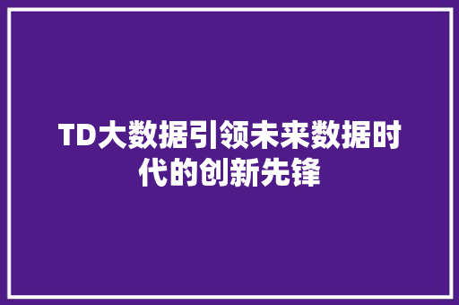 TD大数据引领未来数据时代的创新先锋