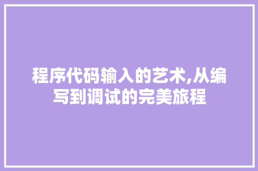 程序代码输入的艺术,从编写到调试的完美旅程 响应式设计