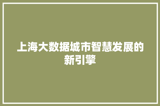 上海大数据城市智慧发展的新引擎
