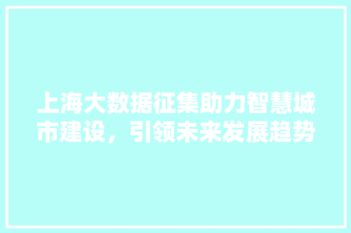 上海大数据征集助力智慧城市建设，引领未来发展趋势