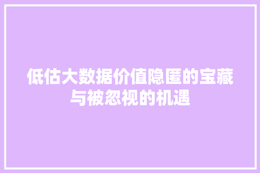 低估大数据价值隐匿的宝藏与被忽视的机遇