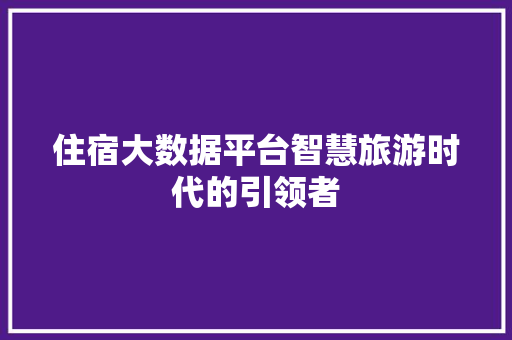 住宿大数据平台智慧旅游时代的引领者