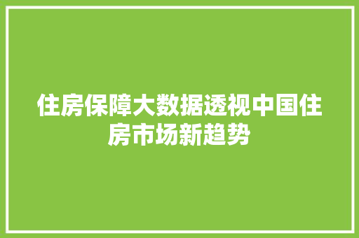 住房保障大数据透视中国住房市场新趋势