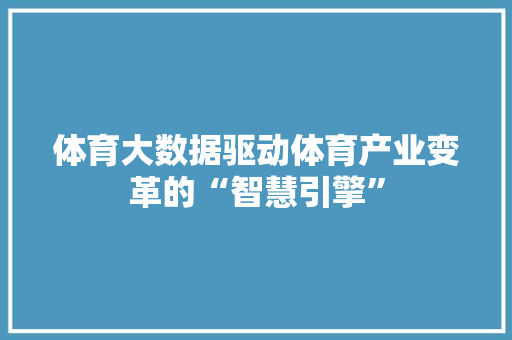体育大数据驱动体育产业变革的“智慧引擎”