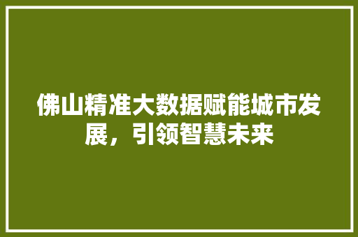 佛山精准大数据赋能城市发展，引领智慧未来