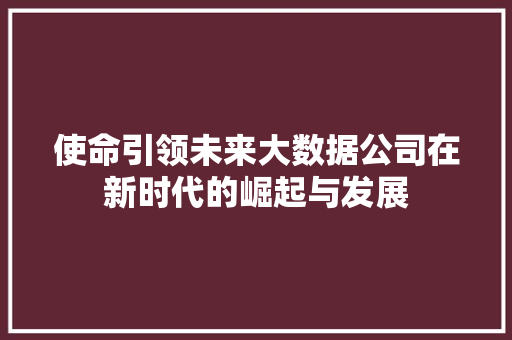 使命引领未来大数据公司在新时代的崛起与发展