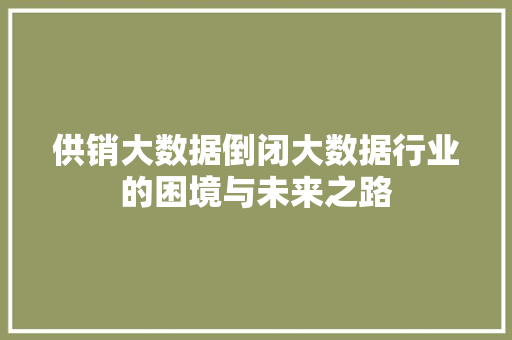 供销大数据倒闭大数据行业的困境与未来之路