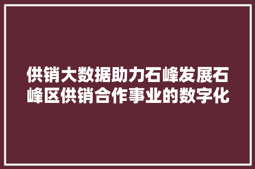 供销大数据助力石峰发展石峰区供销合作事业的数字化转型之路