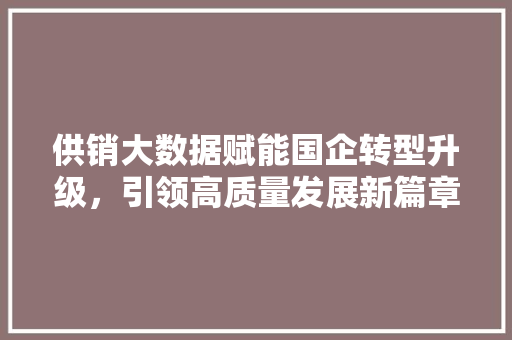 供销大数据赋能国企转型升级，引领高质量发展新篇章