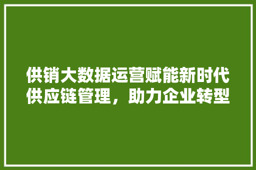 供销大数据运营赋能新时代供应链管理，助力企业转型升级