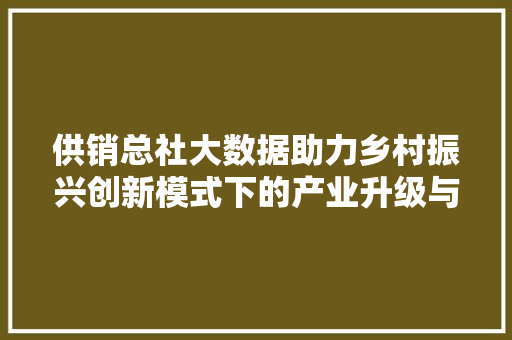 供销总社大数据助力乡村振兴创新模式下的产业升级与发展