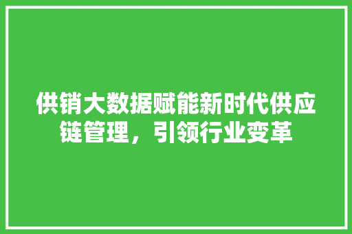 供销大数据赋能新时代供应链管理，引领行业变革