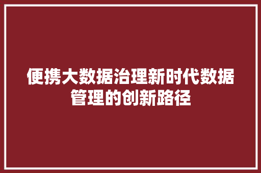 便携大数据治理新时代数据管理的创新路径