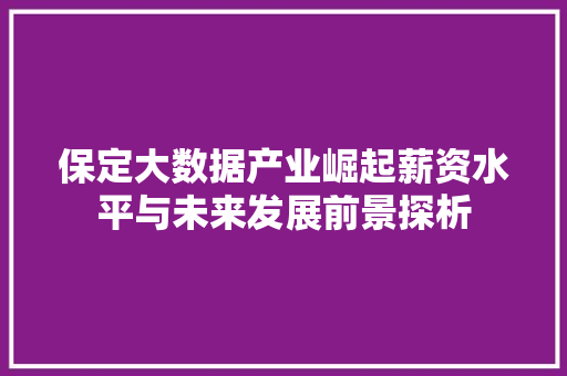 保定大数据产业崛起薪资水平与未来发展前景探析