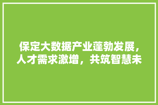 保定大数据产业蓬勃发展，人才需求激增，共筑智慧未来