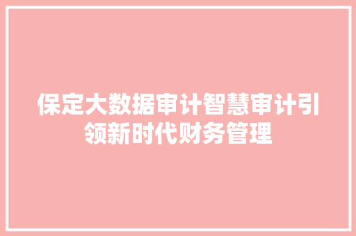 保定大数据审计智慧审计引领新时代财务管理