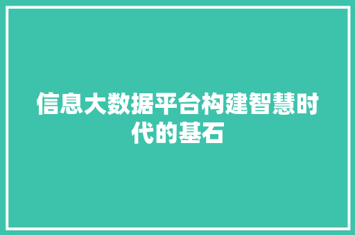 信息大数据平台构建智慧时代的基石