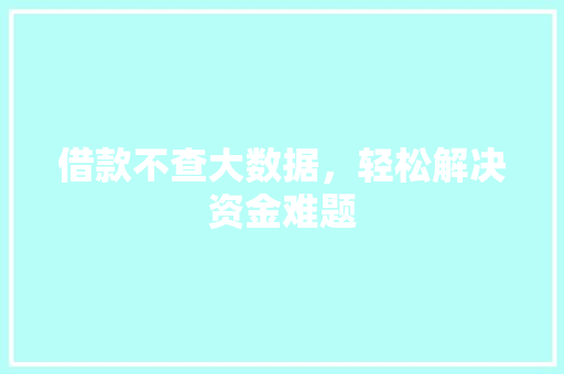 借款不查大数据，轻松解决资金难题