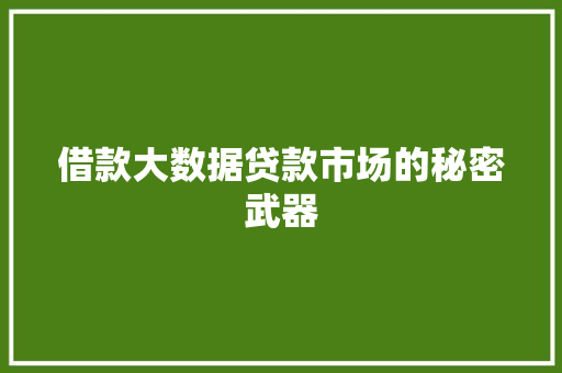 借款大数据贷款市场的秘密武器