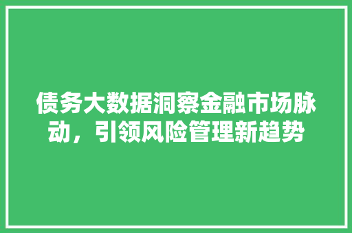 债务大数据洞察金融市场脉动，引领风险管理新趋势