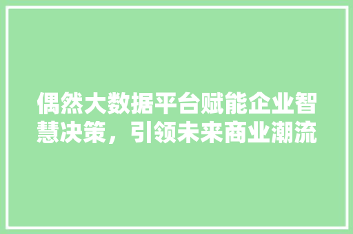 偶然大数据平台赋能企业智慧决策，引领未来商业潮流