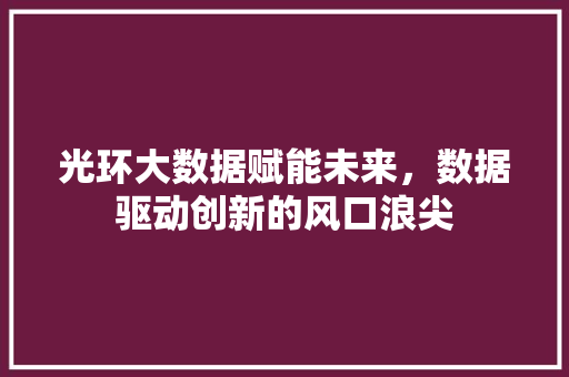 光环大数据赋能未来，数据驱动创新的风口浪尖