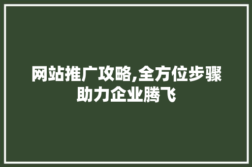 网站推广攻略,全方位步骤助力企业腾飞 网站建设
