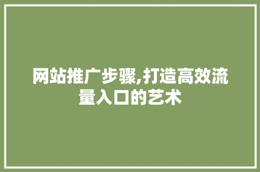 网站推广步骤,打造高效流量入口的艺术 MySQL
