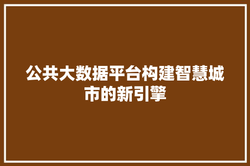 公共大数据平台构建智慧城市的新引擎
