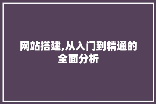 网站搭建,从入门到精通的全面分析 后端技术